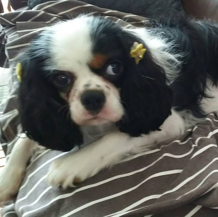 C4cf4c15 68a0 468b 92ef 2e0467b03cbb