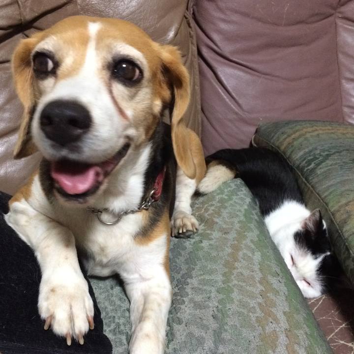 C4cf70bf bc29 4fc8 b600 02c95cf6eccf