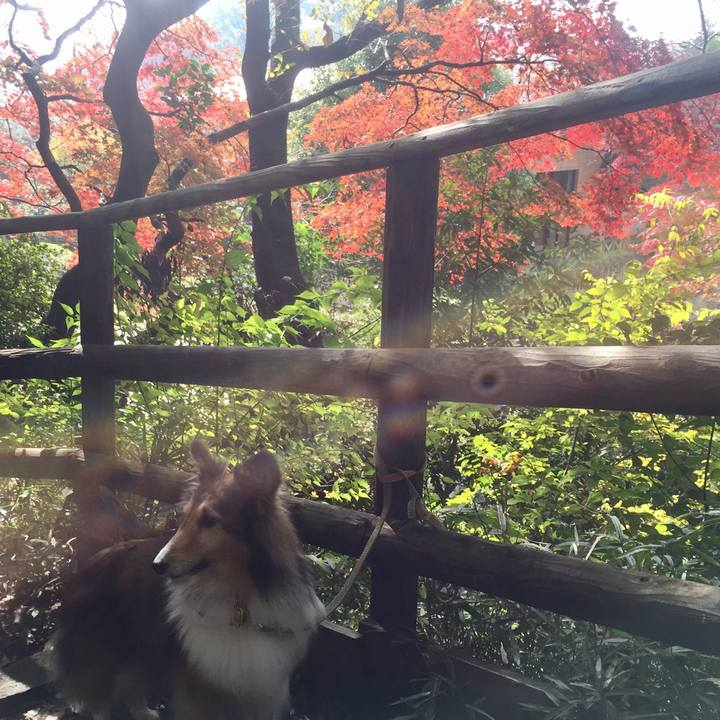 C4d02151 facb 4f19 874e 79ab7cc1dbff