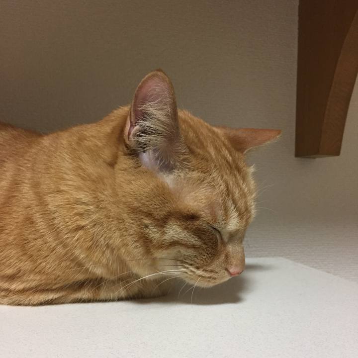 C4d0d10f fbe5 4121 a742 f15ba6ec1b14