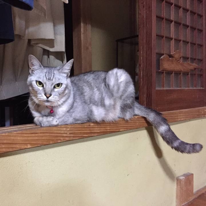 C4d0e9bb be88 4f60 b0fb 9bcfe6618d87