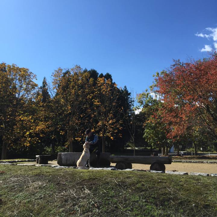 C4d26e7a b994 4f13 b7d8 0c73366c9d15