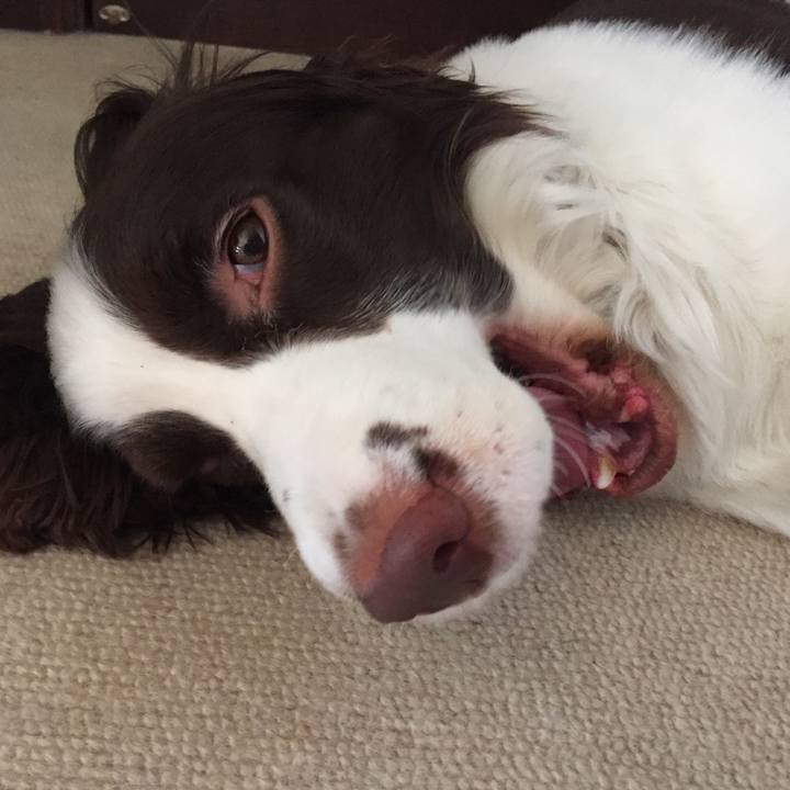 C4d34ef7 9db1 49a2 b27b 17a5da885d5d