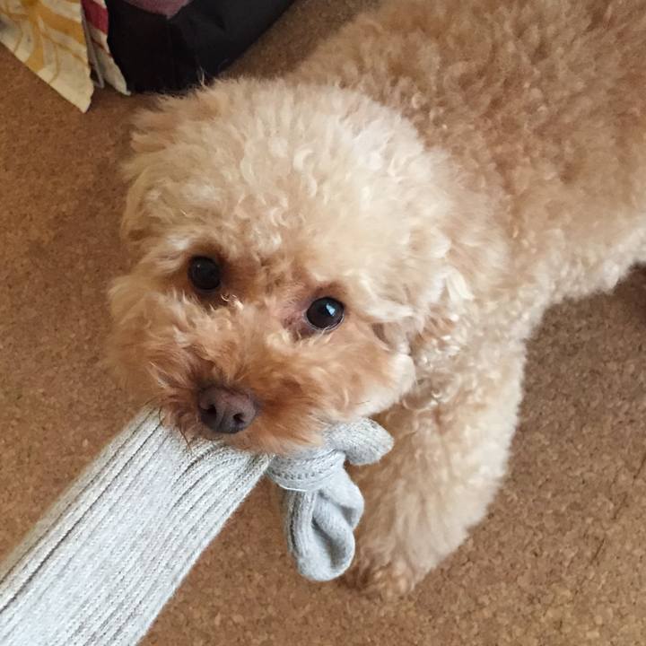 C4d3a35e b47b 48f5 add4 2ba27a2abd35