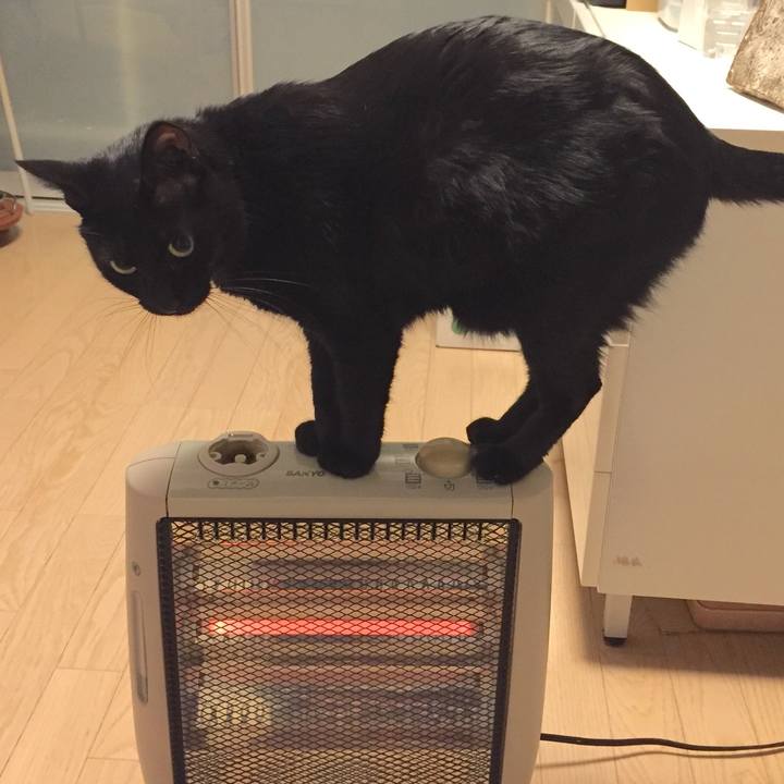 C4d3fd2a eef6 4d7f 8e3b 4f2c5d8032a3