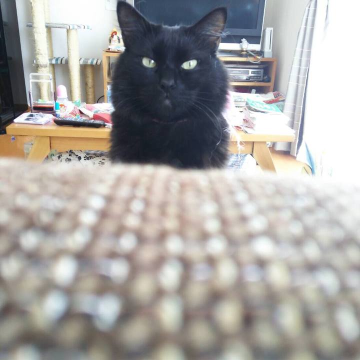 C4d4b331 e04e 4663 8a0d b635c8fd6172