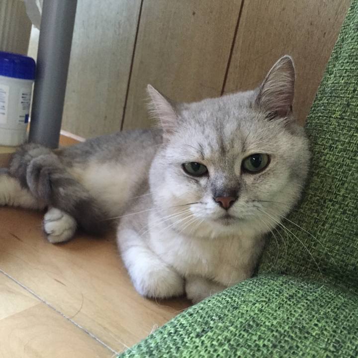 C4d4b96e 230c 453f 98b9 14a3a1f33cd5