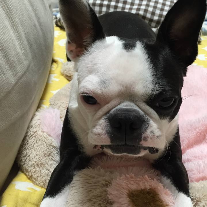 C4d52556 bef3 42f7 a2e5 e551a385966e