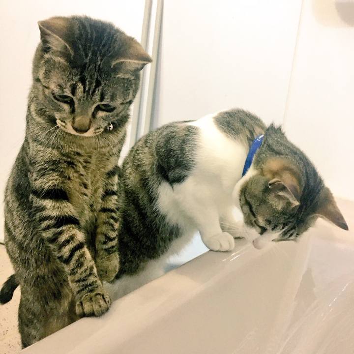 C4d56368 ca37 4ce9 9a3d 2fee15aab3cb