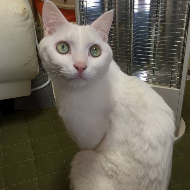 C4d5e81c 2ded 4428 b0a1 fa321867029f