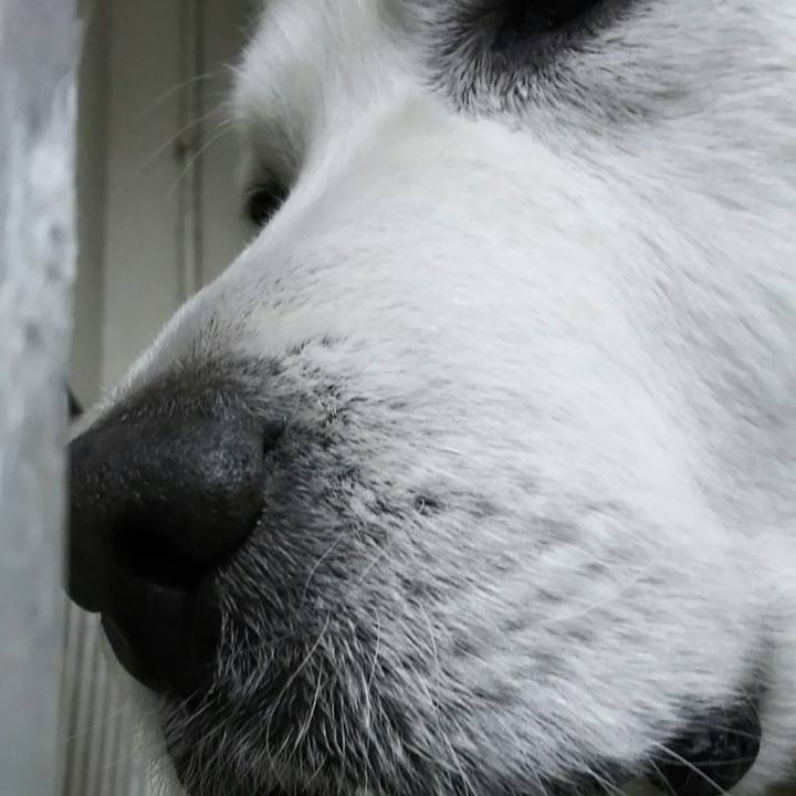 C4d61c01 6422 4284 a46a 11ec7c0ceed1