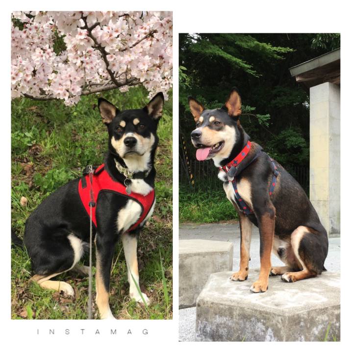 C4d6350a 8038 4ac8 b3c0 8726f2e205e8