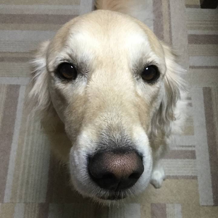 C4d64ed3 0ce6 406e b7d0 1a59ec572264