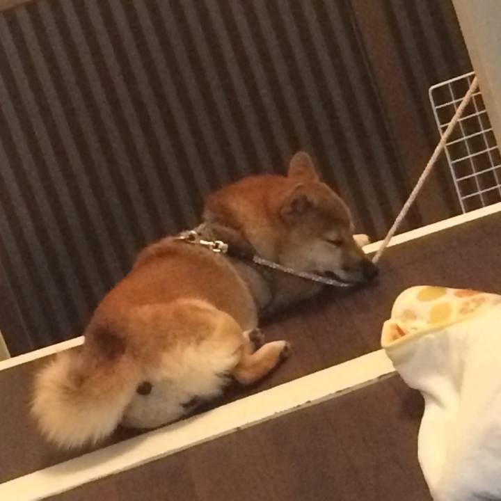 C4d85bd9 509e 4881 a67f 9596ec60287e