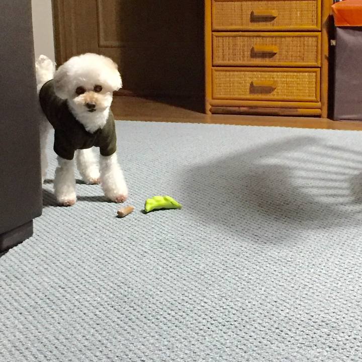 C4d8e27b f5cb 462f 9628 a1eee11e23dd