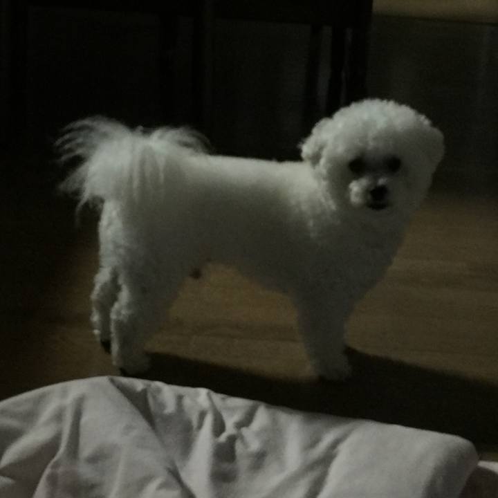 C4d982ae da04 460f a206 cb9444eadf20