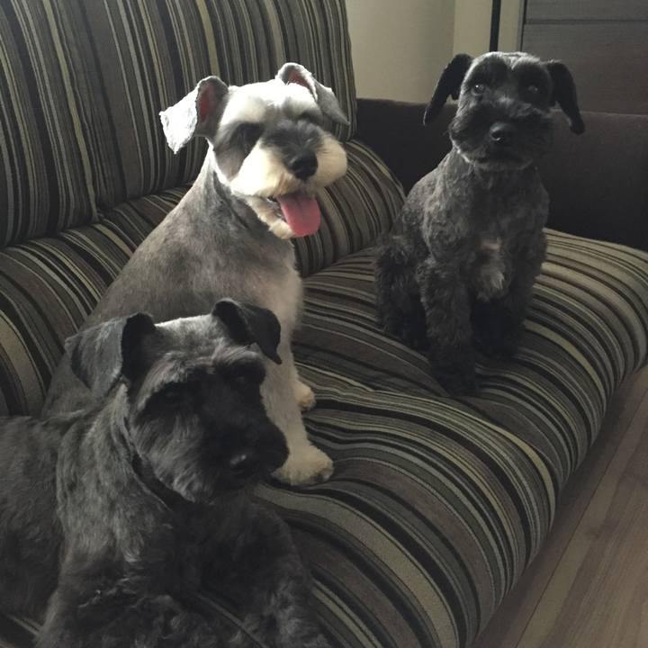 C4dc007f 64f2 4ab0 b2bb 9e007f2242a0