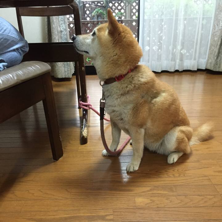 C4dc3fb0 1335 4e39 b882 b519f505fd4d