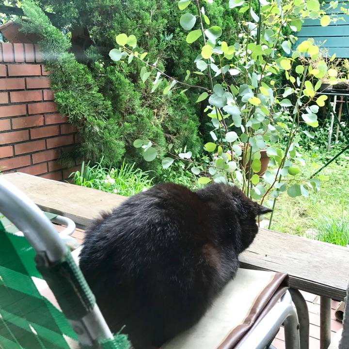 C4dc775e 7614 4096 a603 cb6a9e3fc70b