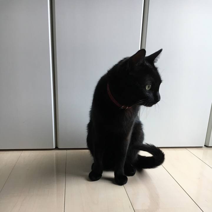 C4dc8316 7a2b 4f32 b3a6 ed2db56f3467