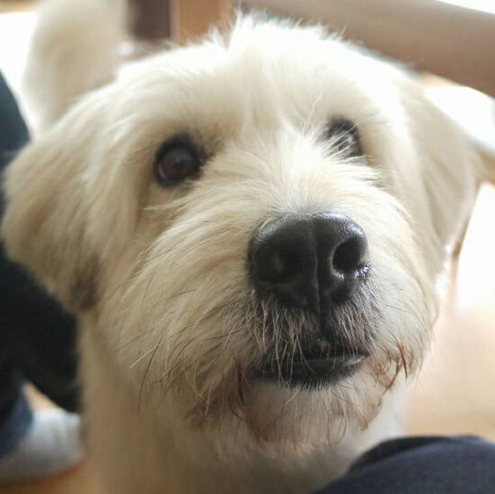 C4dcc442 036c 4258 a8e8 d315c9a1769d