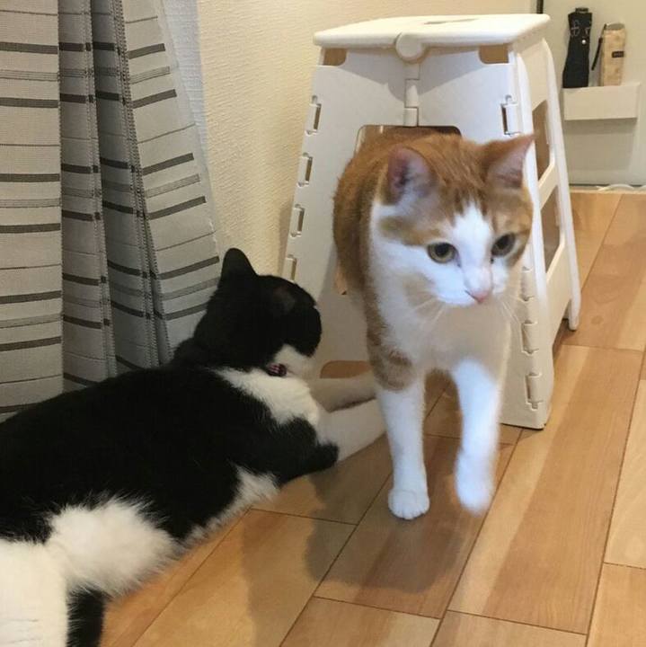 C4dd807b 6237 4b56 985c b23fc1447f5d