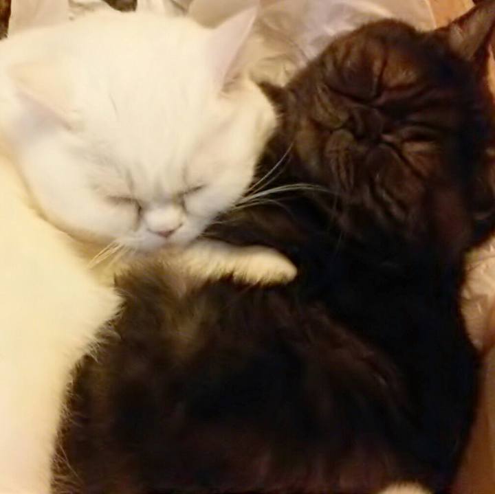 C4ddaae7 ed61 49c1 91e4 a499c74b2441