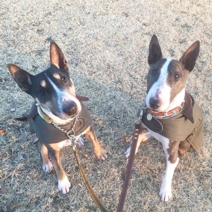 C4ddc414 cd08 4228 818c 755f94a278f9