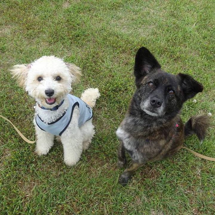 C4df1de0 4c68 4336 8d58 3316296ab171