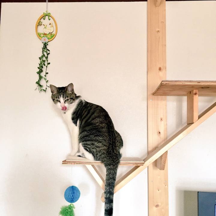 C4dfbe41 8c93 460d 8c8d a8ea4f9d49b6