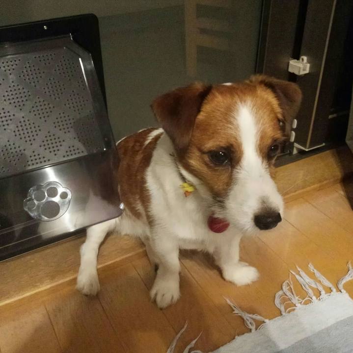 C4dffdcc 1c94 4f8e ba6c b04358c5787f