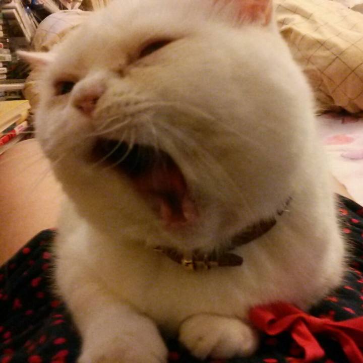 C4e01248 d1b5 42d9 8993 a7b7a009b780