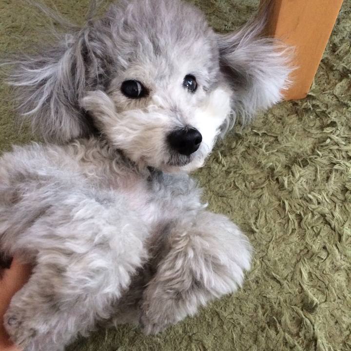 C4e0129b 3360 42a2 9e59 858a3af5bfd5