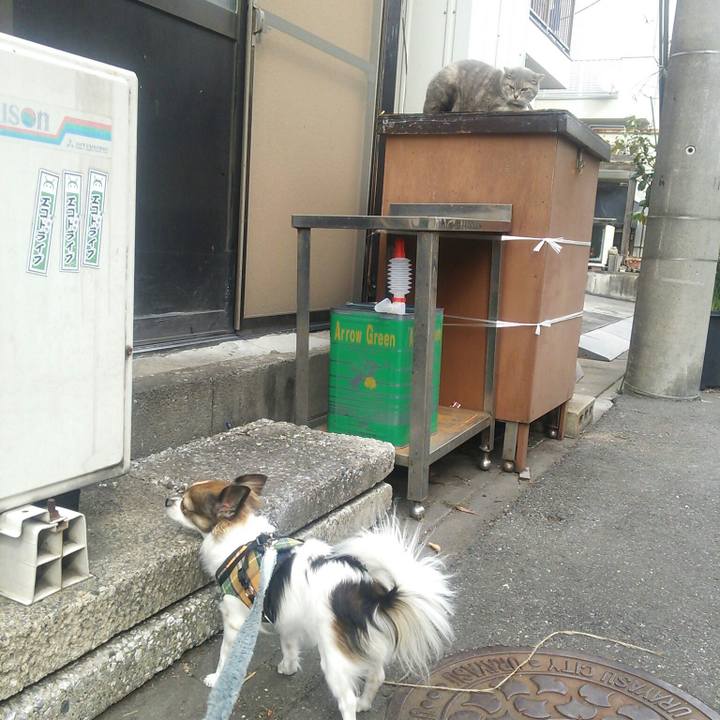 C4e0857f c4ce 4a10 9d66 55a836db551e