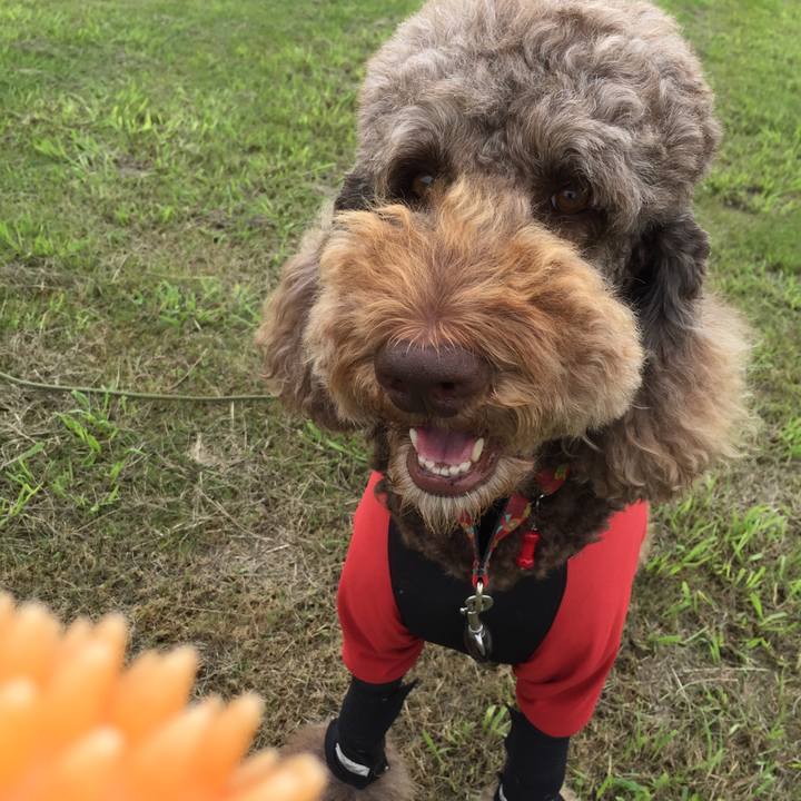 C4e0dc9e 38e6 49b2 bc37 2057f216377d