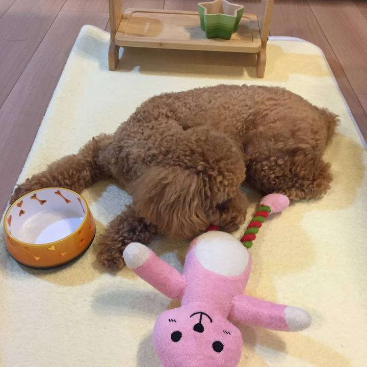 C4e24657 2475 475b 812e 82e0815422d3