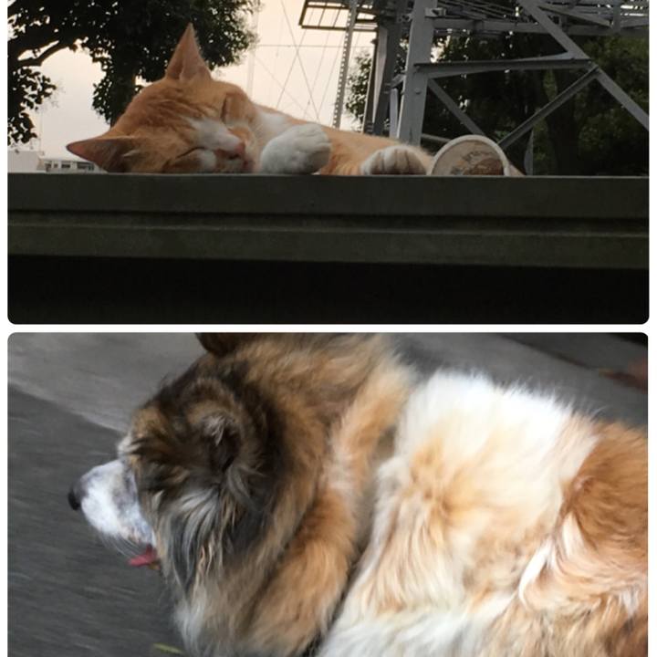 C4e2c1d6 3346 4168 a4e9 be9f75867bfd