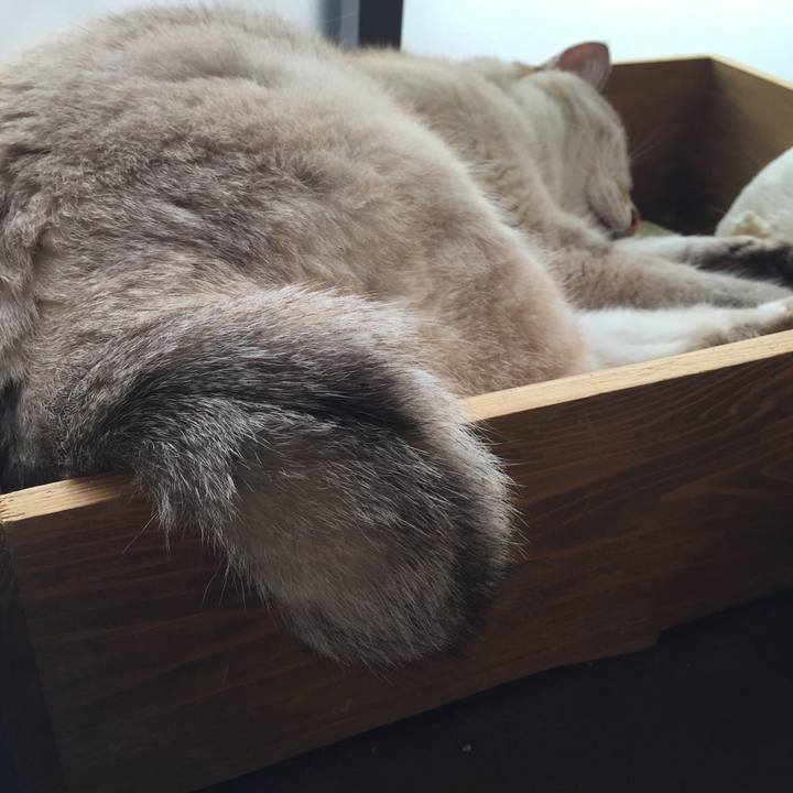 C4e2d756 008e 432b 8260 60b5169de3b8