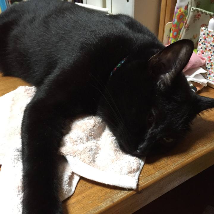 C4e36b92 8a1f 40a6 aaf0 bcb8c85b6efe