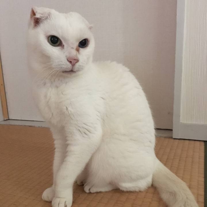 C4e3980b 2cae 4f55 9e7f ce06a3db4569