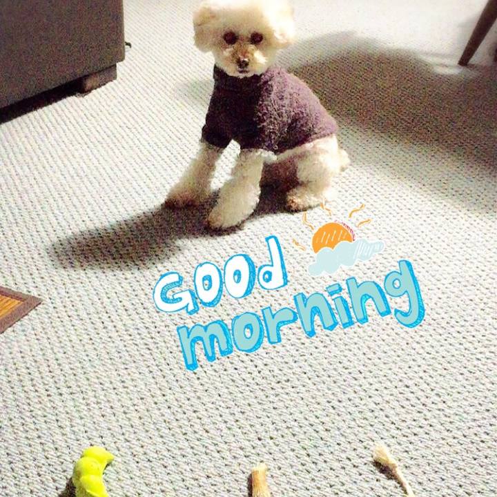 C4e3e7cd 0372 4164 8073 237dcebc22b4