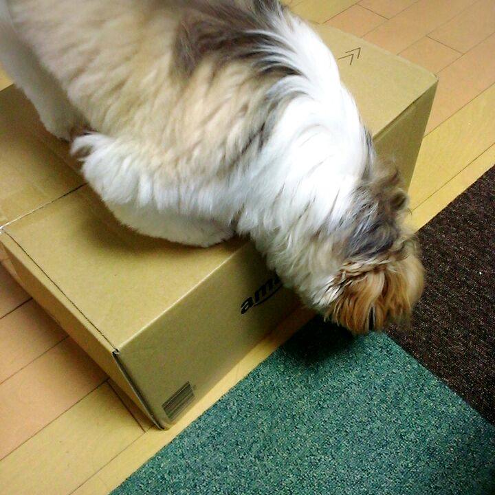 C4e53f0f 098c 43b1 b300 c2057234691e