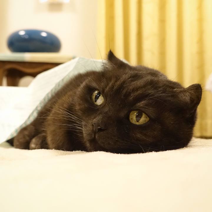 C4e5405c d41e 4379 86be c6b73cfd850d