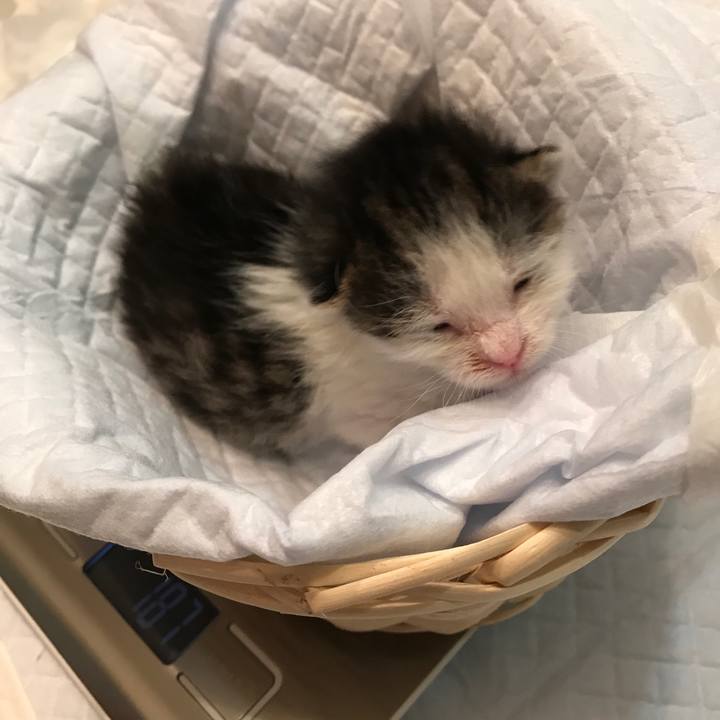 C4e5a0d0 8edf 43e0 9272 1b5a957091c1