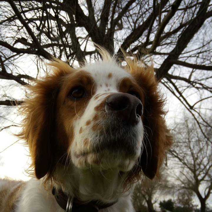 C4e5ccd3 76f5 49a6 9c90 f8a027ad84bb