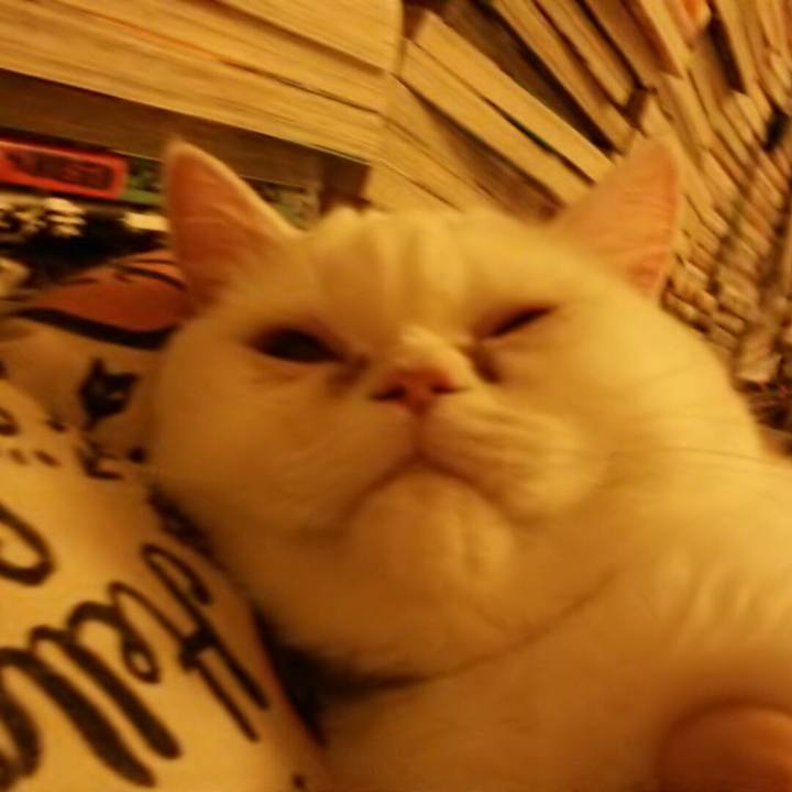 C4e61eff bf92 468a a461 fd65bdf784d1