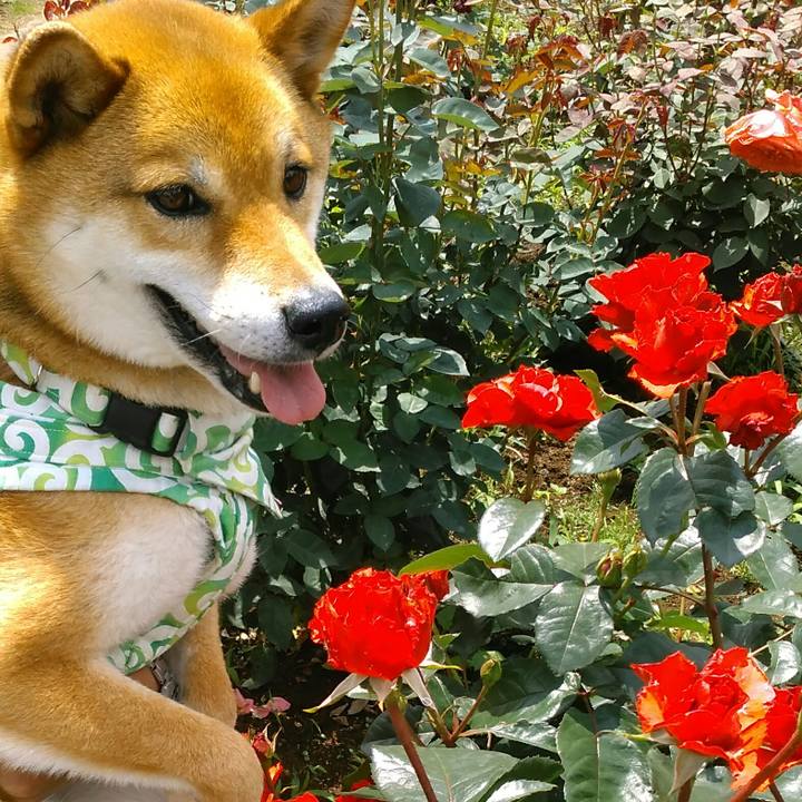 C4e6c8f5 a13a 45c2 80b0 c233a0e02976