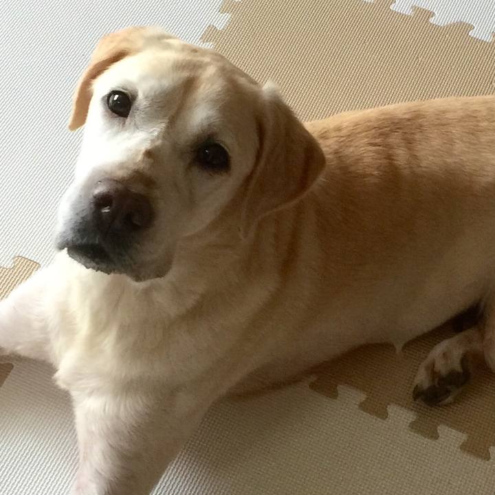 C4e70b49 5c93 4ee7 976d 97b33fe3953e