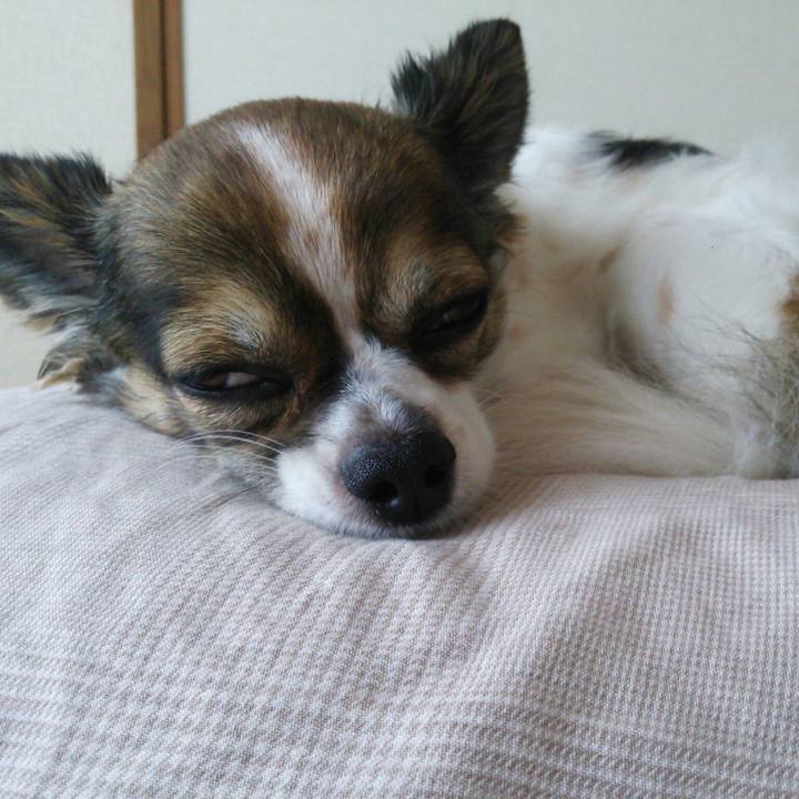 C4e715c9 ad27 48bb a4a5 7ff6d5857f92