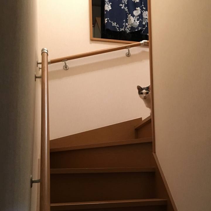 C4e74fcf a383 4fec 8766 1e63f9daedc1